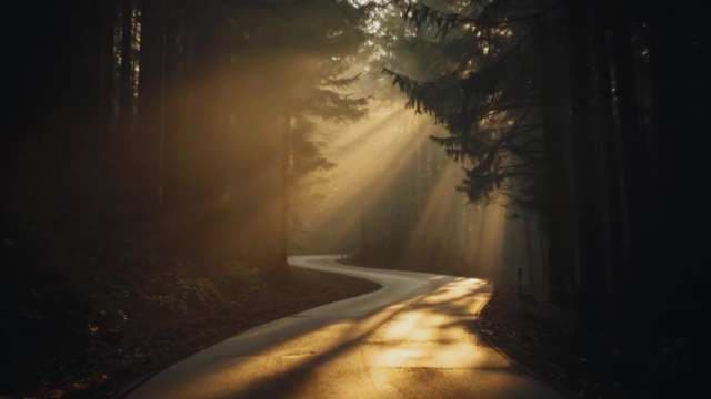 Cinematic Sunbeams on Winding Forest Road at Sunrise