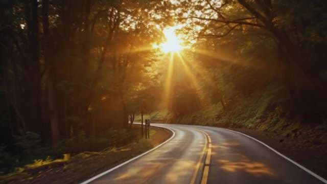 Cinematic Golden Sun Rays Over Winding Forest Road at Sunset