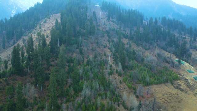 Mountain Cable Car Ascending Through Dense Evergreen Forest