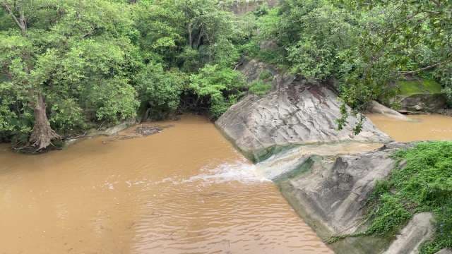 Muddy River Flowing Through Lush Green Tropical Forest Rocks