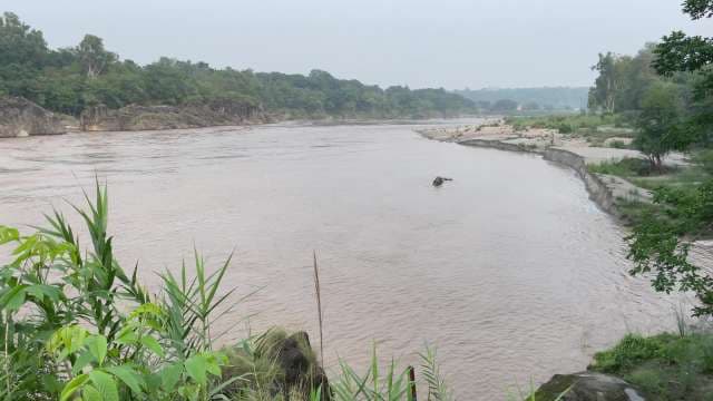 Wide View of Muddy River Flowing Through Lush Forest Landscape in himachal