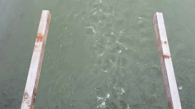 Top View of Wooden Beams Over Murky River Water, Himachal