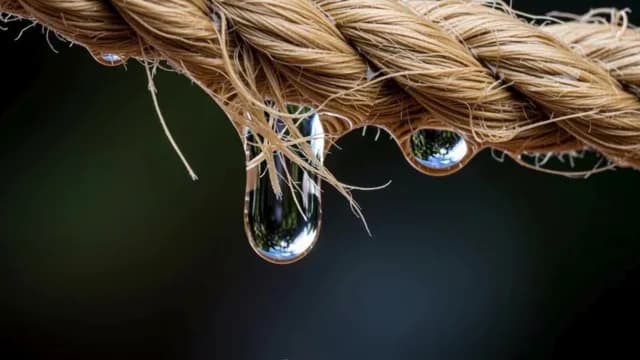 Macro Shot of Water Droplets Clinging to Coarse Rope