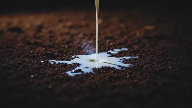 Fresh Milk Pouring Onto Dark Roasted Coffee Grounds Macro