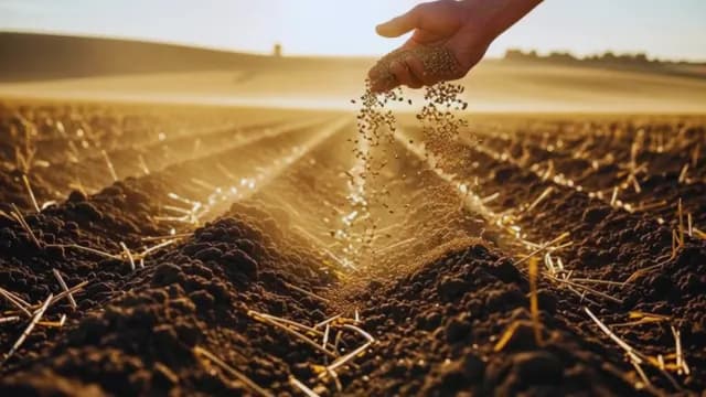 Farmer Sowing Seeds in Fertile Soil at Golden Sunset