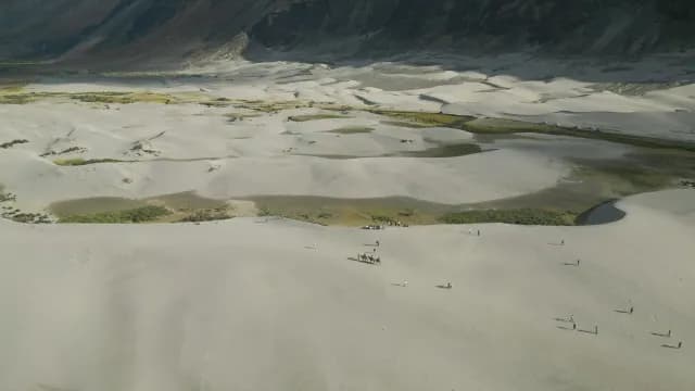 Aerial View of Hunder Sand Dunes and Camel Safari in Ladakh