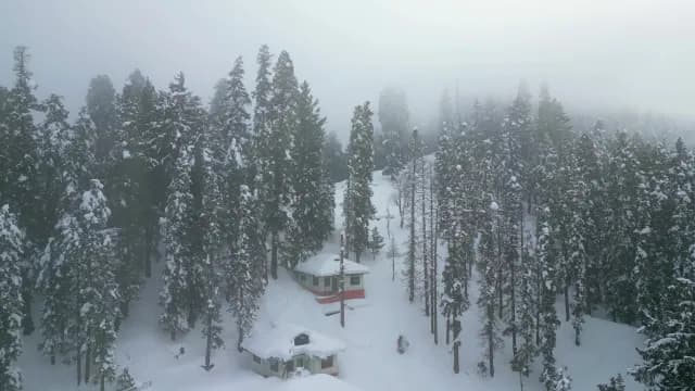 Aerial View of Snowy Cabins in Misty Pine Forest of Srinagar