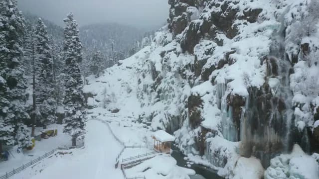 Scenic Frozen Waterfall and Snowy Pine Forest in Winter, Srinagar
