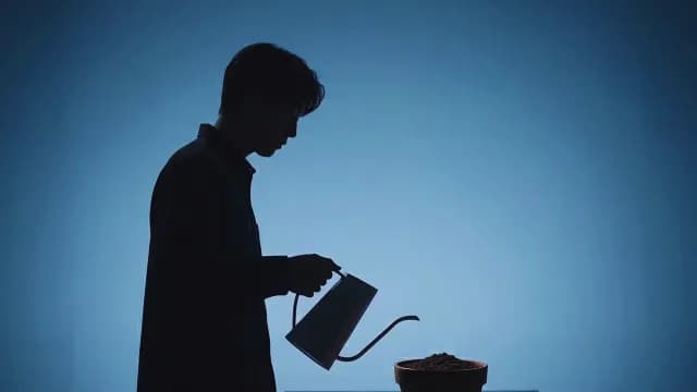 Silhouette of a Man Watering a Potted Plant
