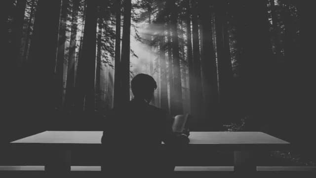 Silhouette of Man Reading Book in Dark Sunlit Forest