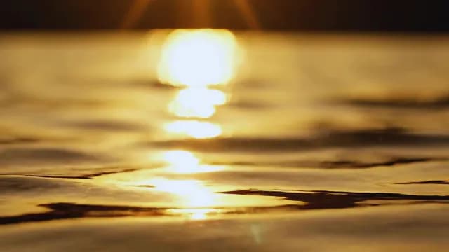 Golden Sunset Reflection on Calm Water Surface Bokeh