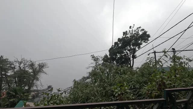 Driving Through Misty Mussoorie Landscape with Foggy Overcast Sky