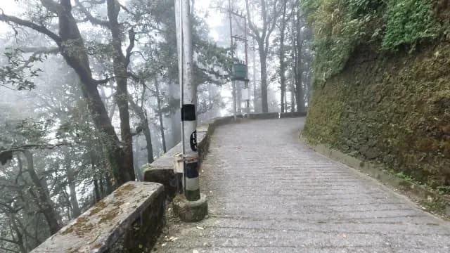 Foggy Mountain Path Through Dense Misty Forest in Mussoorie