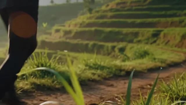 Person Jogging Past Lush Green Rice Terraces at Sunrise