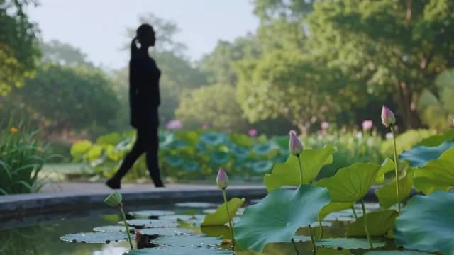 Woman Walking Past Lotus Pond in Scenic Park