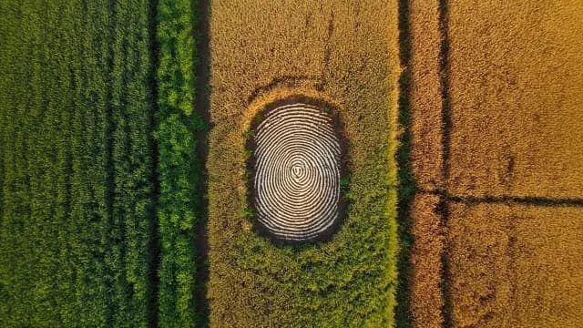 Aerial View of Fingerprint Pattern in Agricultural Field