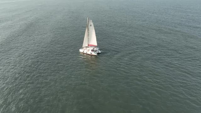 Aerial Shot of White Catamaran Sailing Across Open Sea