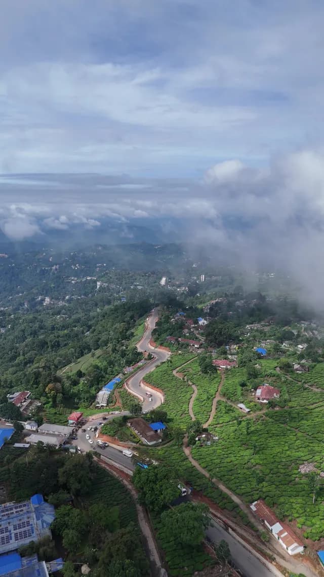 Aerial View of Winding Road Through Munnar Tea Plantations
