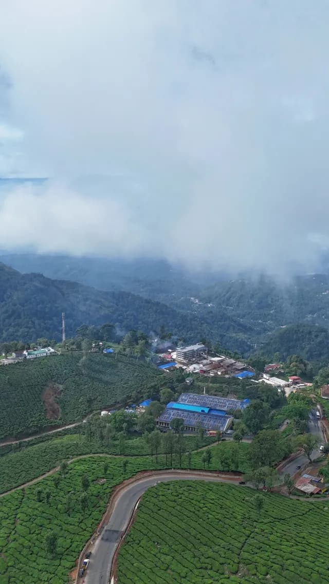 Misty Tea Plantation Valley View in Munnar India