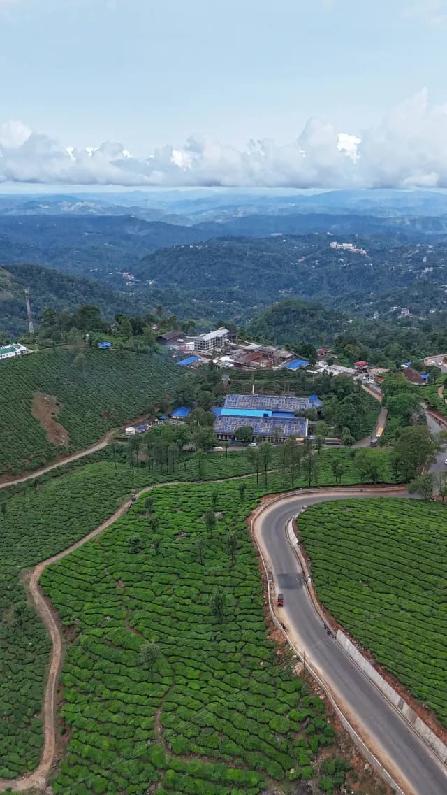 Aerial View of Lush Green Tea Plantations in Munnar Kerala