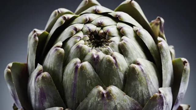 Extreme Close-Up of Fresh Raw Green Artichoke