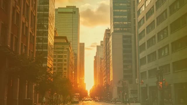 Golden Hour Sunset Over Street Skyline
