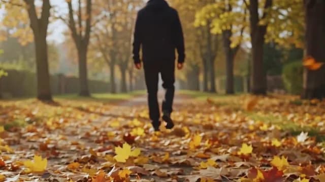Man Walking Down Park Path Lined with Golden Autumn Leaves