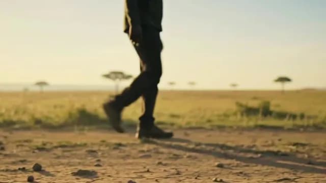 Person Walking Through African Savanna at Golden Hour
