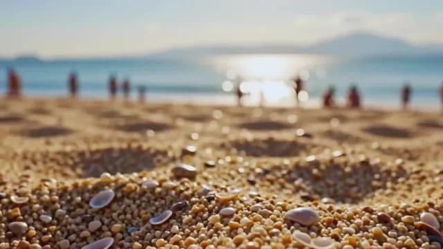 Close-up of Sand and Seashells on a Sunny Blurred Beach