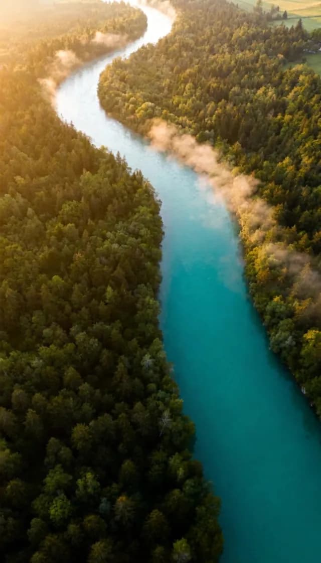 Aerial Sunrise View of Turquoise River Winding Through Misty Forest