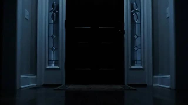 Dark Front Door Entrance at Night with Sidelights