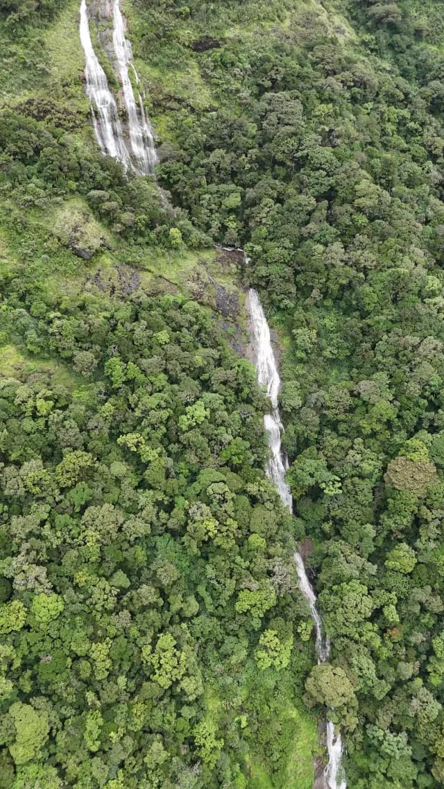 Aerial View of Nayamakad Waterfall Cascading Through Lush Tropical Forest in Munnar