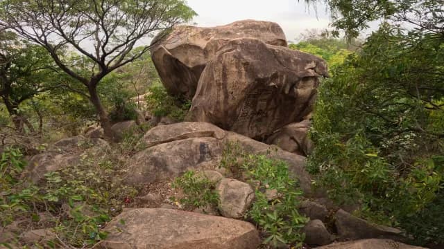 Massive Weathered Boulders in Lush Indian Forest Landscape, Mama Bhagne Pahar, West Bengal
