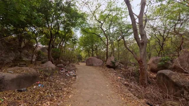 Winding Dirt Path Through Rocky Forest with Lush Green Trees Mama Bhagne Pahar