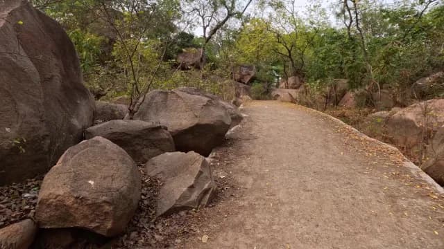 Scenic Rocky Hiking Trail Through Lush Forest Landscape Mama Bhagne Pahar, West Bengal