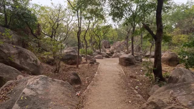 Tranquil Dirt Path Through Rocky Forest Landscape with Large Boulders at Mama Bhagne Pahar, West Bengal