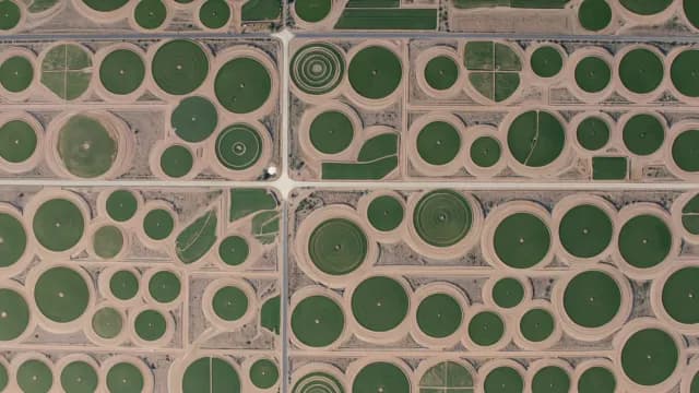 Aerial Top Down View of Circular Desert Irrigation Fields