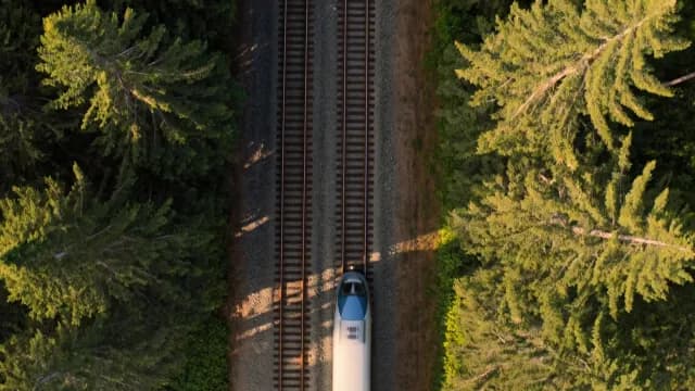 Aerial High-Speed Train Traveling Through Dense Pine Forest