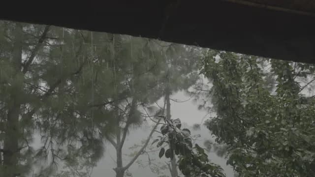 Heavy Rain Falling from Rooftop with Lush Green Forest Background