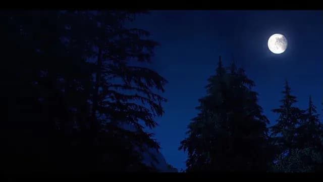 Full Moon Shining Over Dark Pine Forest at Night