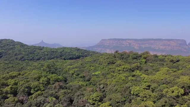 Panoramic Aerial View of Lush Western Ghats Mountain Range