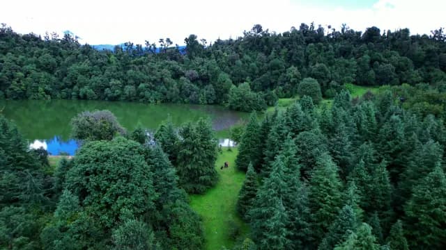 Aerial View of Lush Evergreen Forest and Alpine Lake Chopta, Uttarakhand
