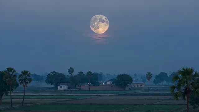 Full Moon Over Rural Village Landscape and Palm Trees
