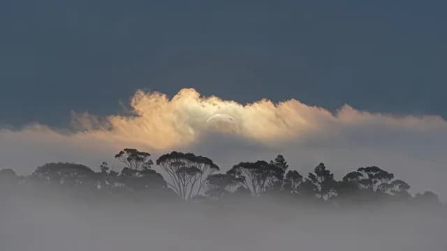 Full Moon Rising Behind Glowing Clouds and Misty Forest Silhouette