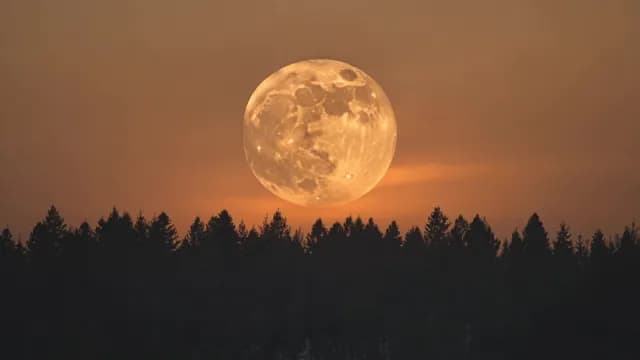 Cinematic Golden Supermoon Rising Above Dark Forest Silhouette