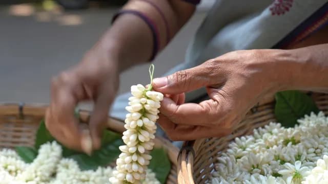Close-up of Hands Weaving Traditional Jasmine Flower Garland