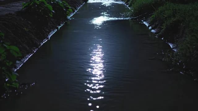 Moonlight Reflection on Narrow Stream at Night