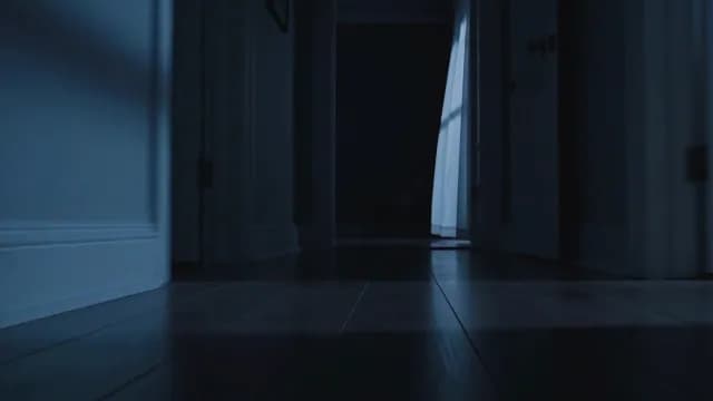 Cinematic Low Angle Shot of a Dark and Spooky Empty Home Hallway