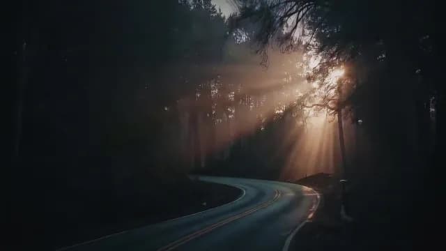 Dramatic Sunbeams Illuminating Winding Road in Misty Dark Forest