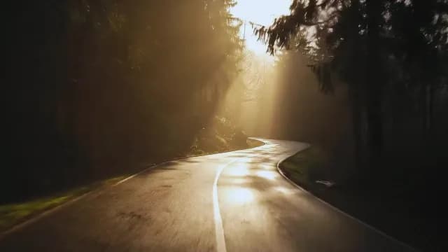 Winding Forest Road with Cinematic Sunbeams at Golden Hour
